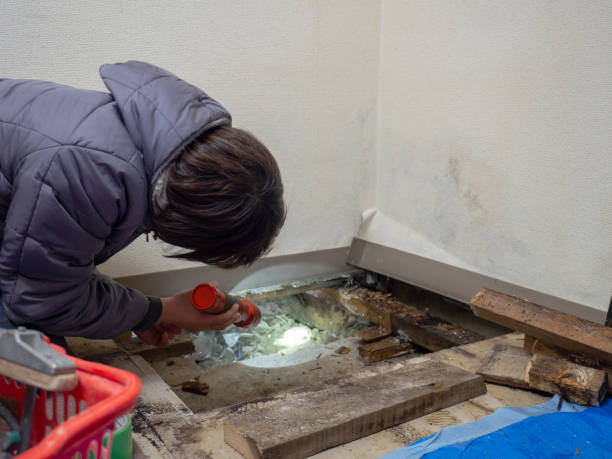 Best Mold Removal for HVAC Installations  in Lford, MI