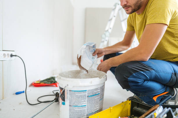 Best Basement Mold Removal  in Lford, MI