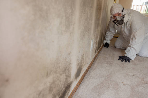 Best Dehumidification Services  in Lford, MI