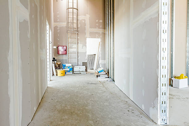 Best Black Mold Removal  in Lford, MI