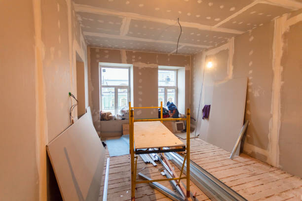 Best Industrial Mold Remediation  in Lford, MI